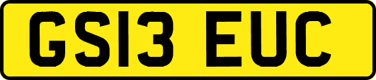 GS13EUC