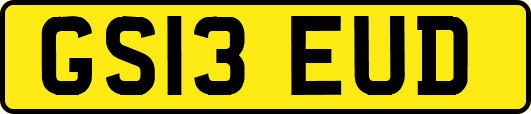 GS13EUD