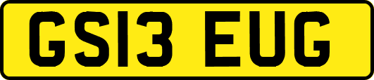 GS13EUG
