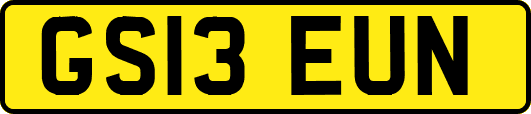 GS13EUN