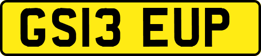 GS13EUP