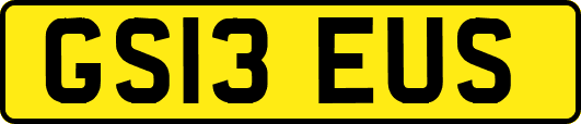 GS13EUS