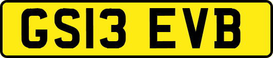 GS13EVB