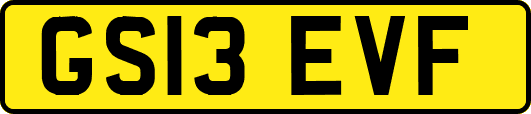 GS13EVF
