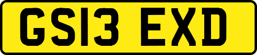 GS13EXD