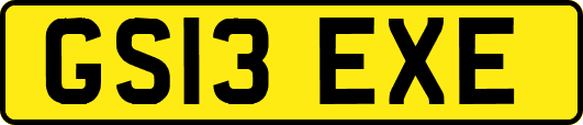 GS13EXE