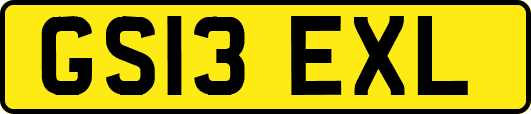 GS13EXL