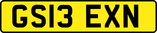 GS13EXN