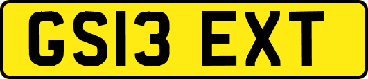 GS13EXT