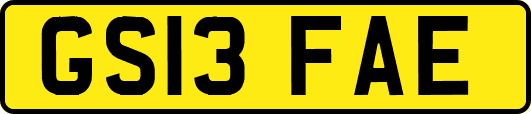 GS13FAE