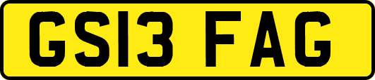 GS13FAG