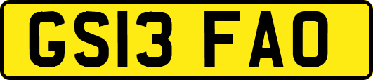 GS13FAO