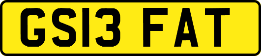 GS13FAT
