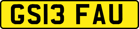 GS13FAU