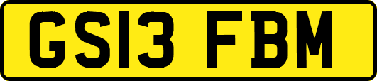 GS13FBM