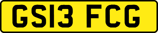 GS13FCG
