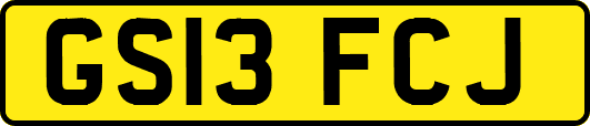 GS13FCJ