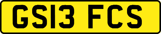 GS13FCS