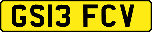 GS13FCV