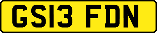 GS13FDN