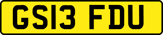GS13FDU