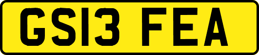 GS13FEA