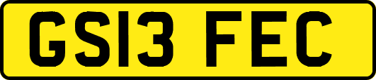 GS13FEC