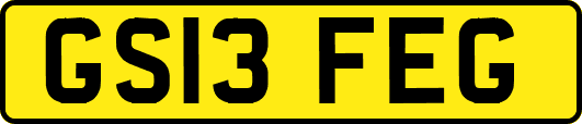 GS13FEG