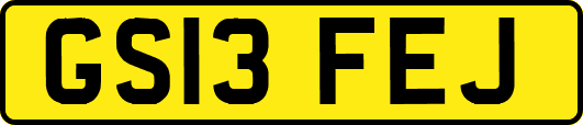 GS13FEJ