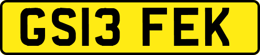 GS13FEK