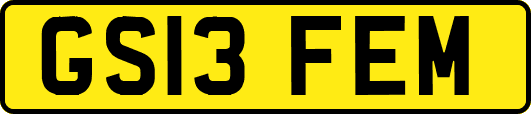 GS13FEM