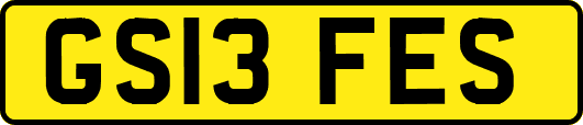 GS13FES