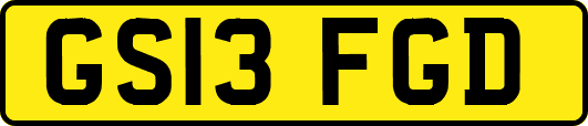 GS13FGD