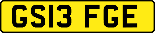GS13FGE