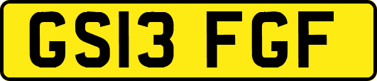 GS13FGF