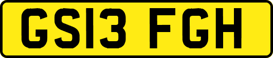 GS13FGH
