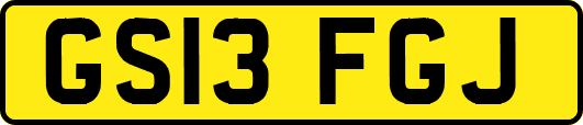 GS13FGJ