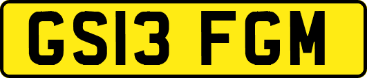 GS13FGM