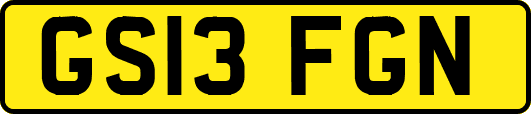 GS13FGN