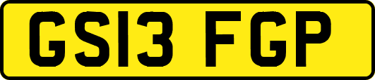 GS13FGP