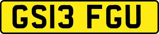 GS13FGU