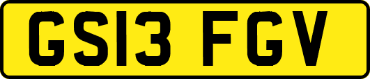 GS13FGV