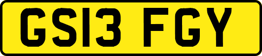 GS13FGY