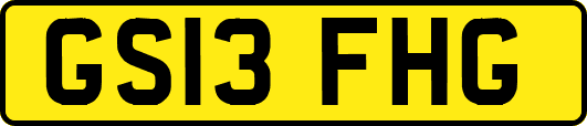 GS13FHG