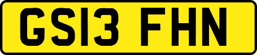 GS13FHN