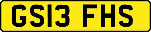 GS13FHS