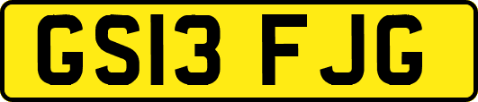 GS13FJG