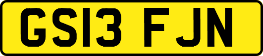 GS13FJN