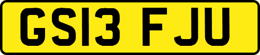 GS13FJU