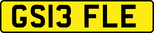 GS13FLE